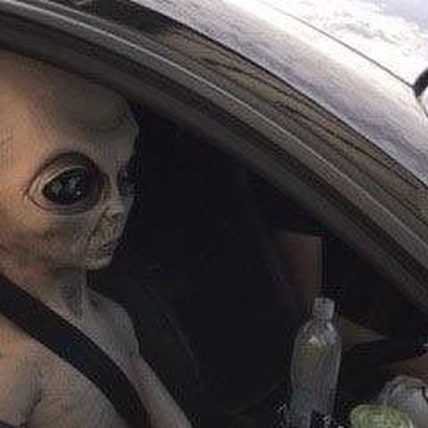 Police find 17  Aliens in a Car and Set Them&nbsp;Free